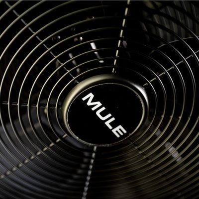 Mule 20 Inch Swag Plug-In Ceiling Fan with Pull Chain and Remote, Matte Black