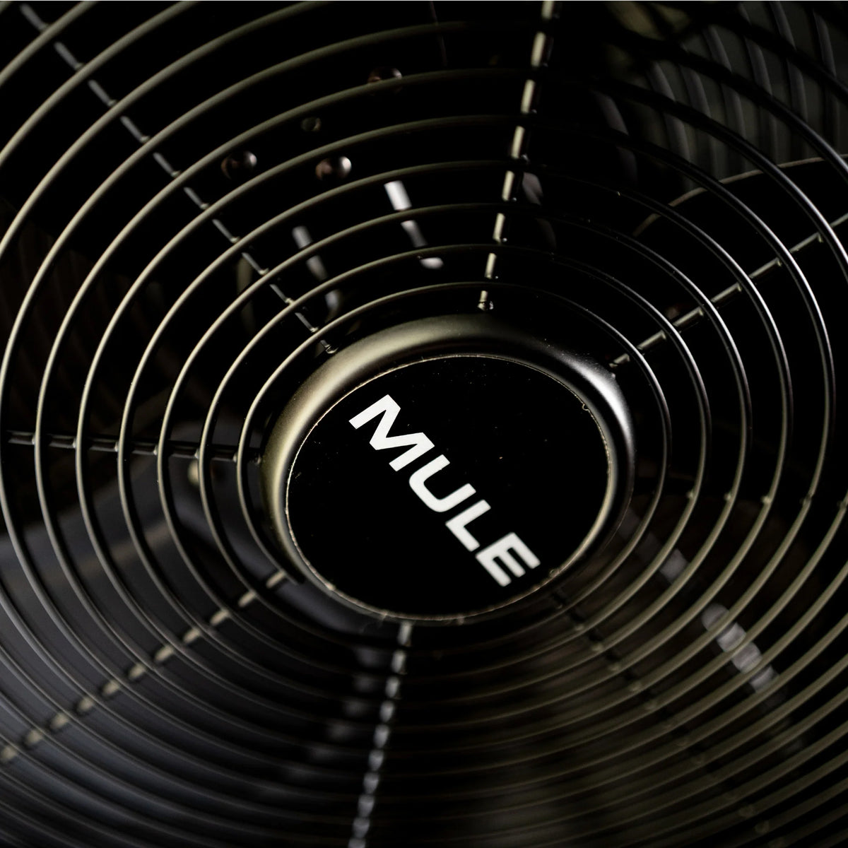 Mule 20 Inch Swag Plug-In Ceiling Fan w Pull Chain and Remote Black (Open Box)