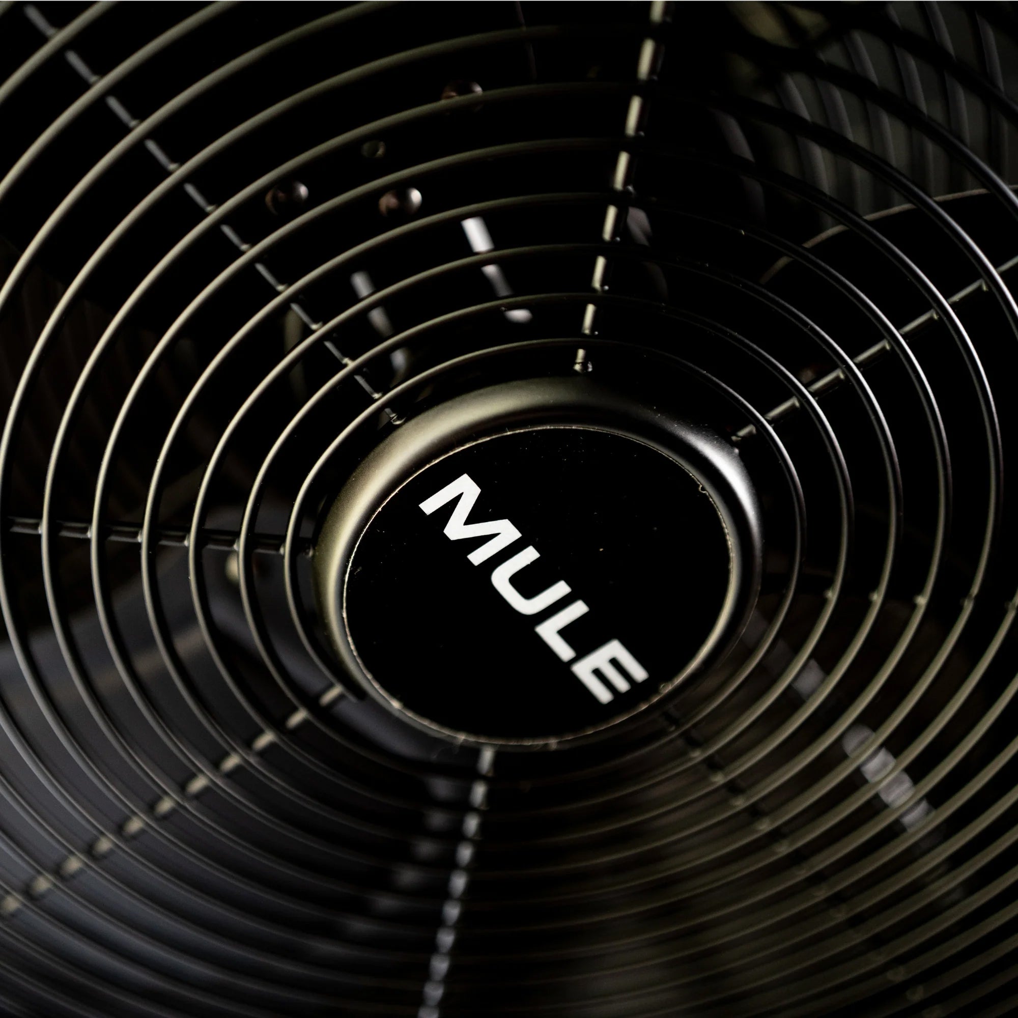 Mule 20 Inch Swag Plug-In Ceiling Fan with Pull Chain for Outdoor, Matte Black