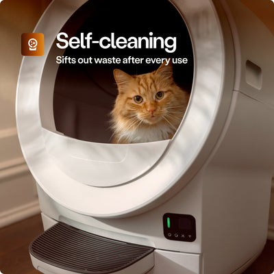 Litter-Robot EVO Bundle by Whisker, White - VMInnovations