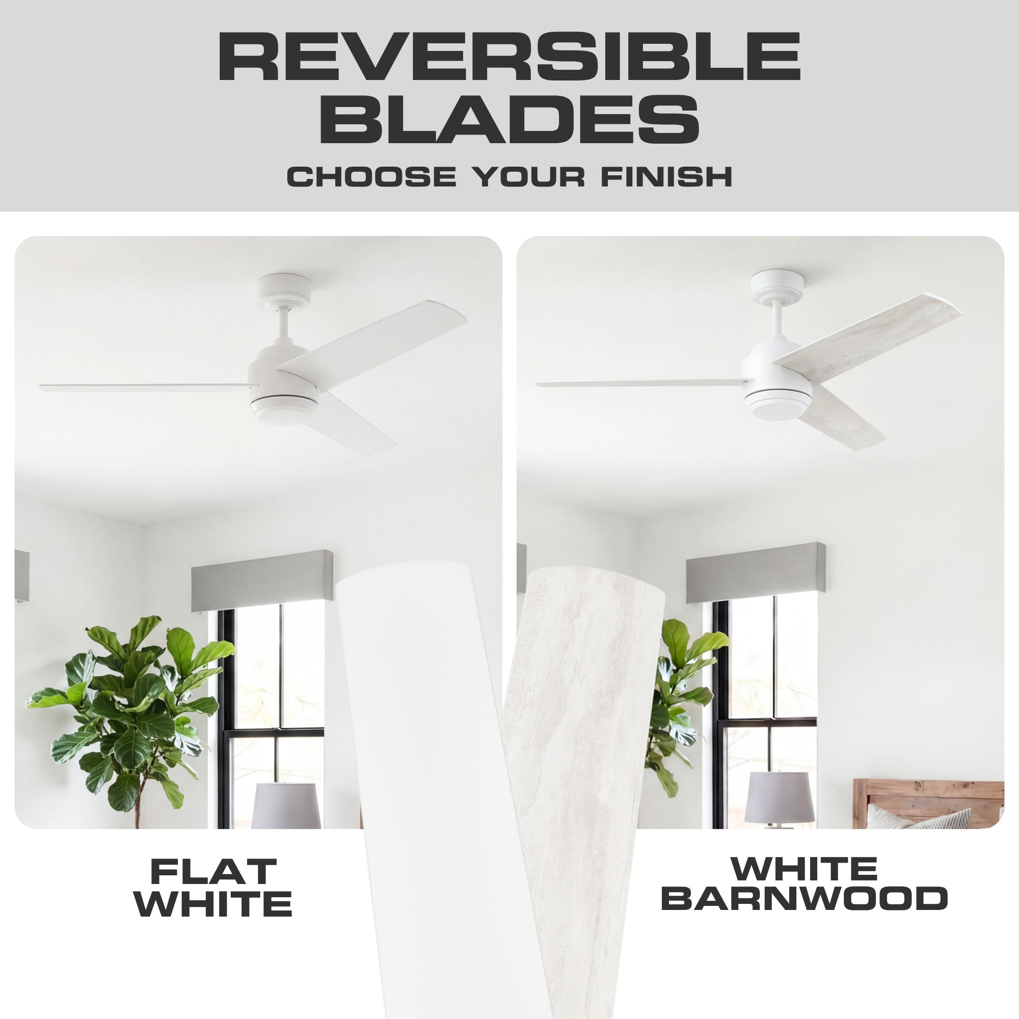 Mule Halona 52 Inch Damp-Rated Ceiling Fan With LED Light, Remote, White