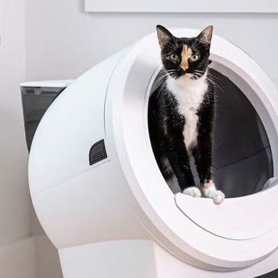 Litter-Robot 4 LitterHopper, White
