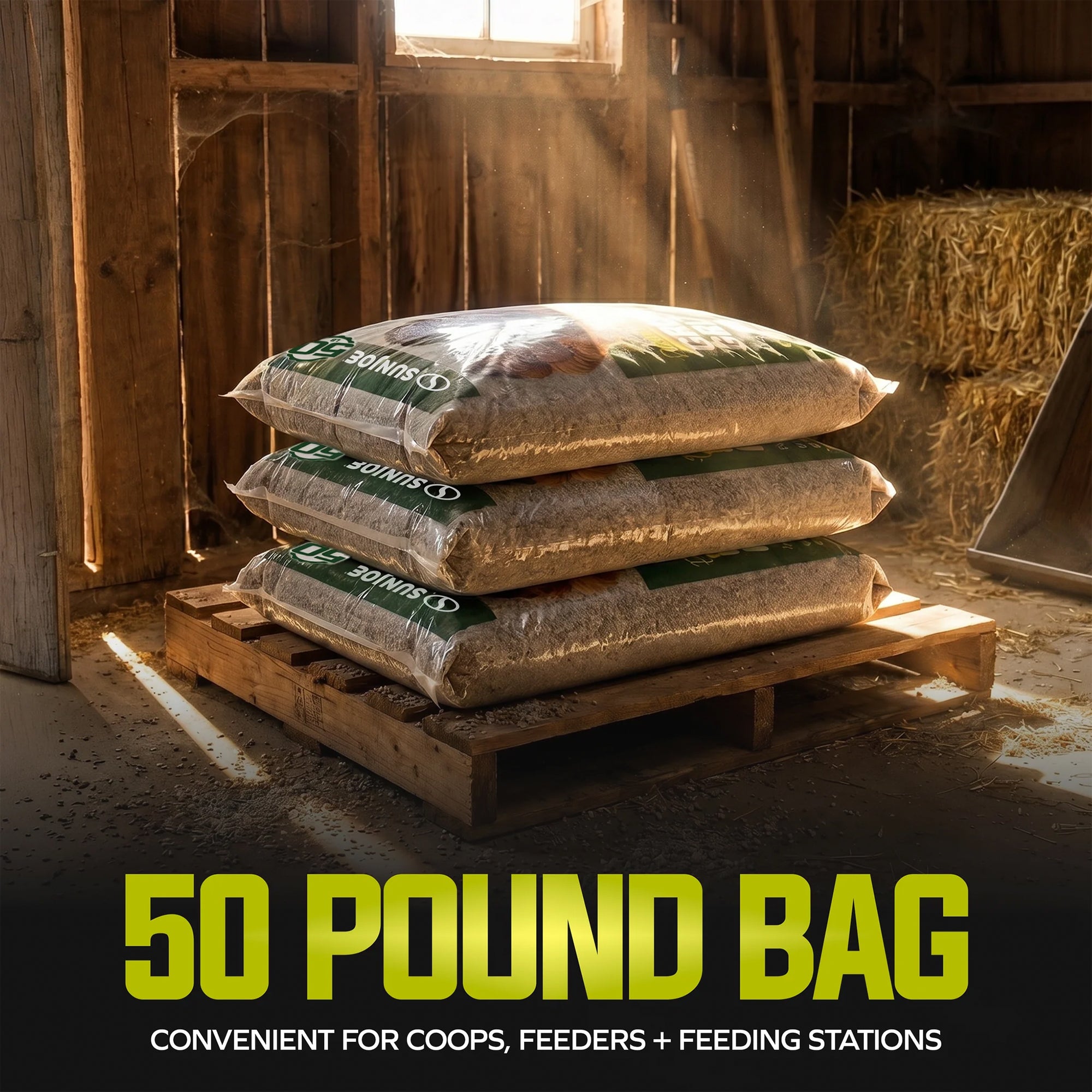 Sun Joe Premium Grower Grit, Digestive Support for Poultry, 50 Lb Bag, PGRIT50