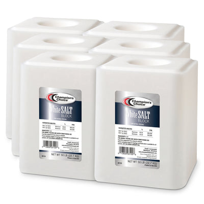 Champion's Choice 6 Pack Salt Block, Livestock Feed for Animal's Diets, 50 lbs