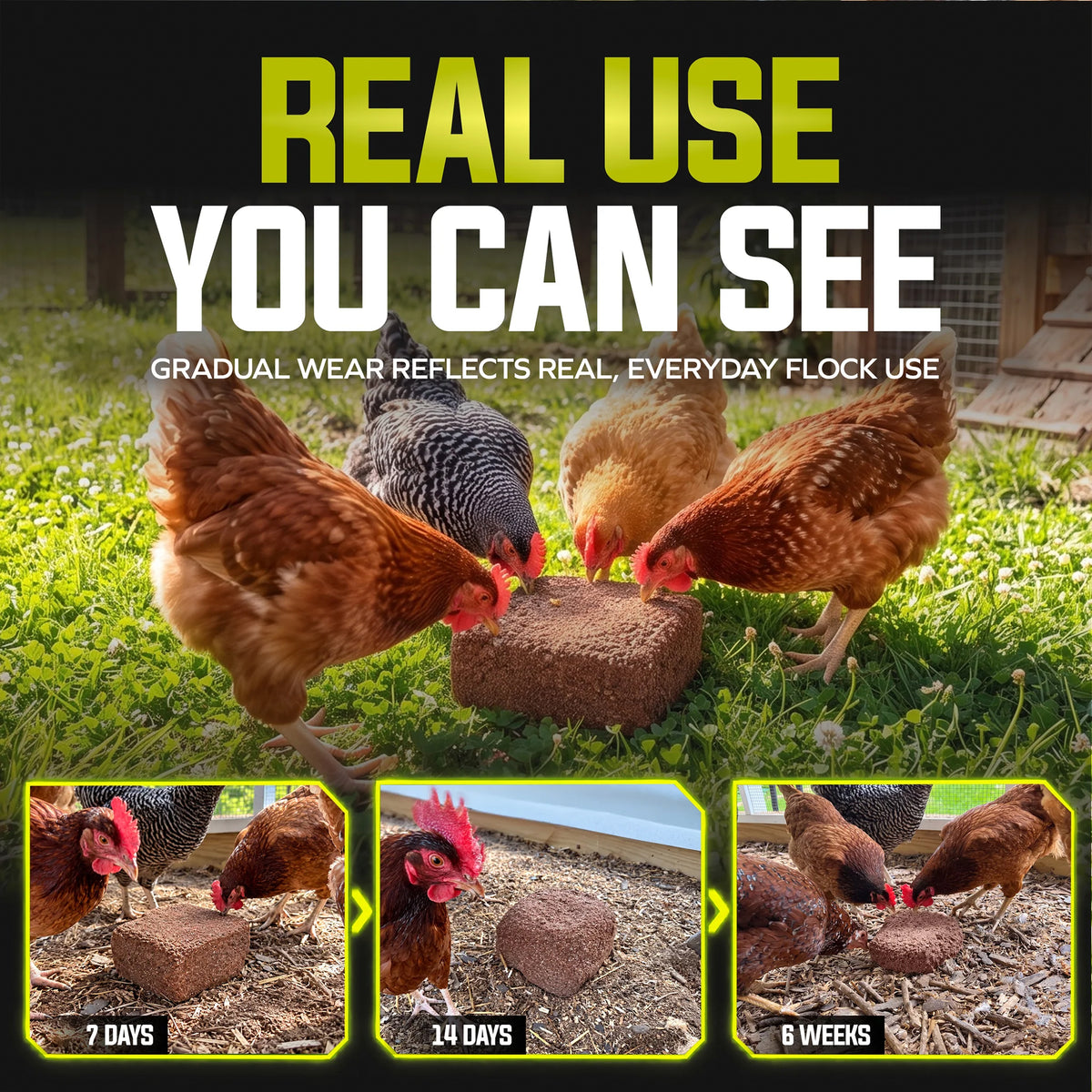 Sun Joe Poultry Grit Pecking Block for Chickens, Ducks, and Turkeys, 25 Lbs