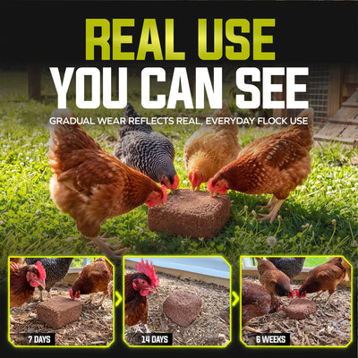 Sun Joe Poultry Grit Pecking Block for Chickens, Ducks, and Turkeys, 25 Lbs