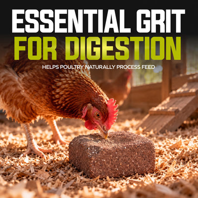 Sun Joe Poultry Grit Pecking Block for Chickens, Ducks, and Turkeys, 25 Lbs