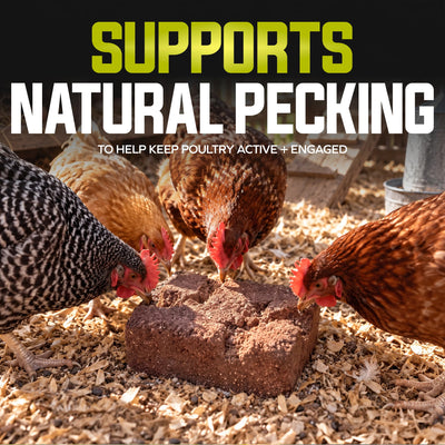 Sun Joe Poultry Grit Pecking Block for Chickens, Ducks, and Turkeys, 25 Lbs