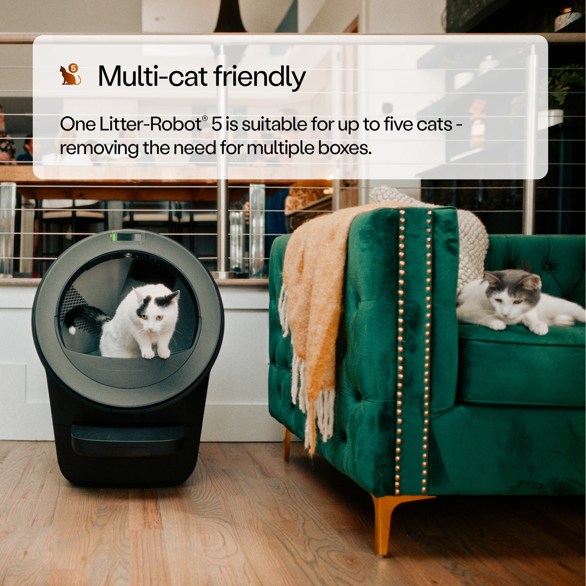 Whisker Litter-Robot 5 Elite Bundle, Black - Automatic - VMInnovations