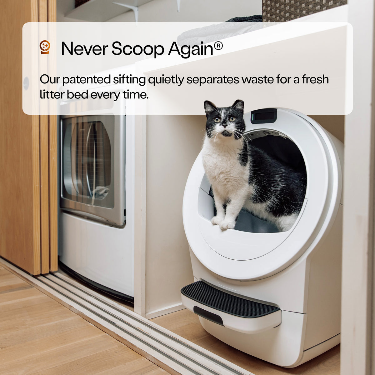 Whisker Litter-Robot 5 Elite Bundle, White - Automatic - VMInnovations