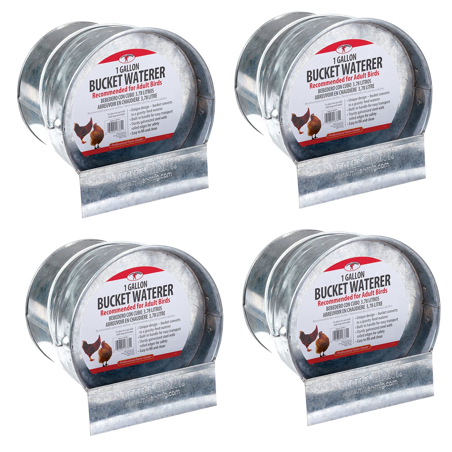 Little Giant 1-Gallon Steel Poultry Bucket Waterer w/ Built-In Handle (4 Pack) - VMInnovations