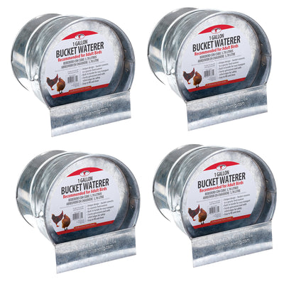 Little Giant 1-Gallon Steel Poultry Bucket Waterer w/ Built-In Handle (4 Pack) - VMInnovations