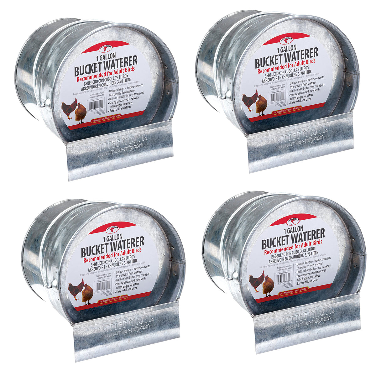 Little Giant 1-Gallon Steel Poultry Bucket Waterer w/ Built-In Handle (4 Pack) - VMInnovations