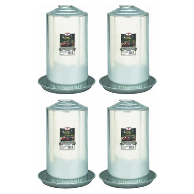 Little Giant 9838 Steel 8 Gallon Double Wall Poultry Fount Waterer (4 Pack)