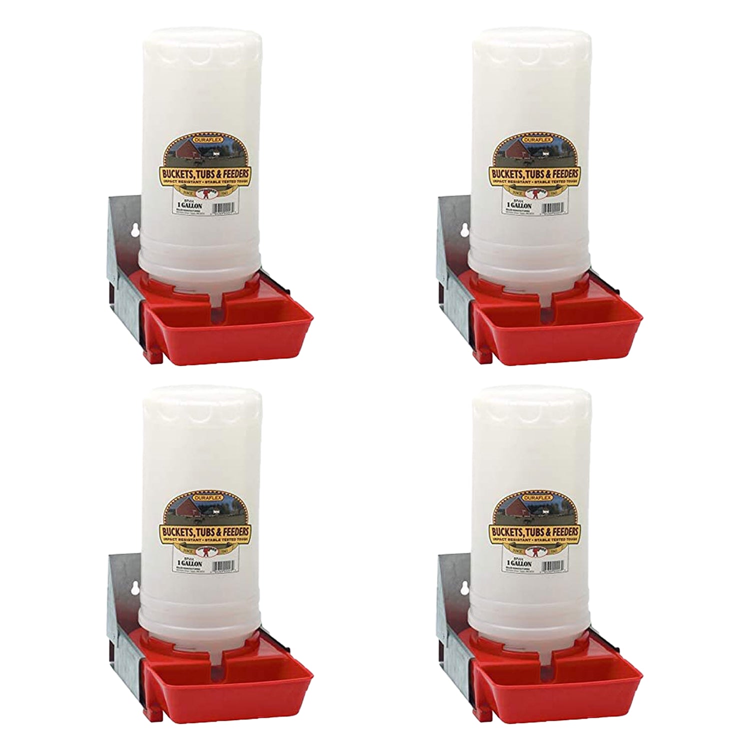 Little Giant 1-Gallon Impact Translucent Polyethylene Piglet Waterer  (4 Pack)