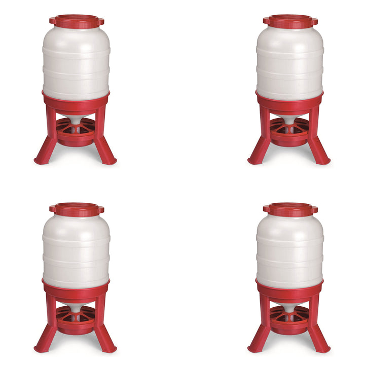 Little Giant 60 Pound Feed Heavy Duty Poultry Chicken Gravity Feeder (4 Pack)