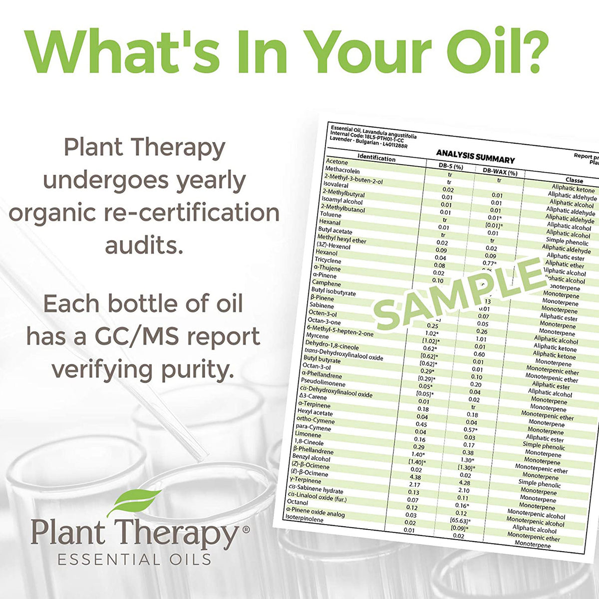 Plant Therapy Diffusible Essential Oil, 3.3 Oz, Organic Frankincense Serrata