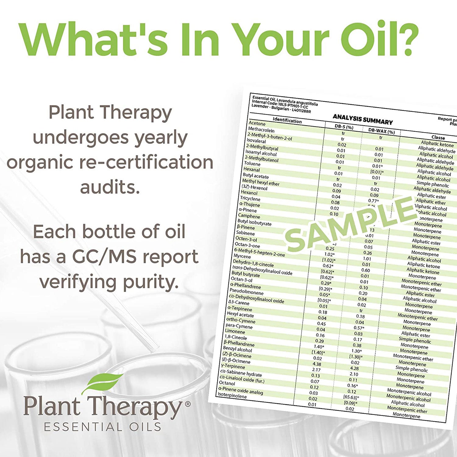 Plant Therapy Diffusible Essential Oil, 3.3 Oz, Organic Frankincense Serrata - VMInnovations