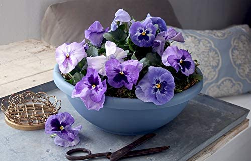 HC Companies 14 Inch Classic Plastic Garden Round Bowl Planter Pot, Chocolate