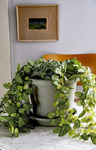 The HC Companies Flower Pot Planter w/ Wakefield Biochar Garden Soil Conditioner - VMInnovations