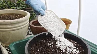 GROW!T Super Coarse #2 Perlite for Hydroponic Greenhouses Gardens 4 Cubic Feet - VMInnovations