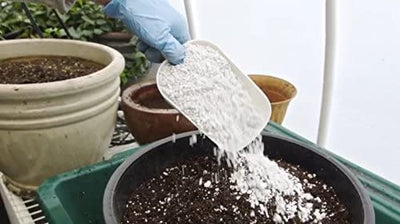 GROW!T Super Coarse #2 Perlite for Hydroponic Greenhouses Gardens 4 Cubic Feet