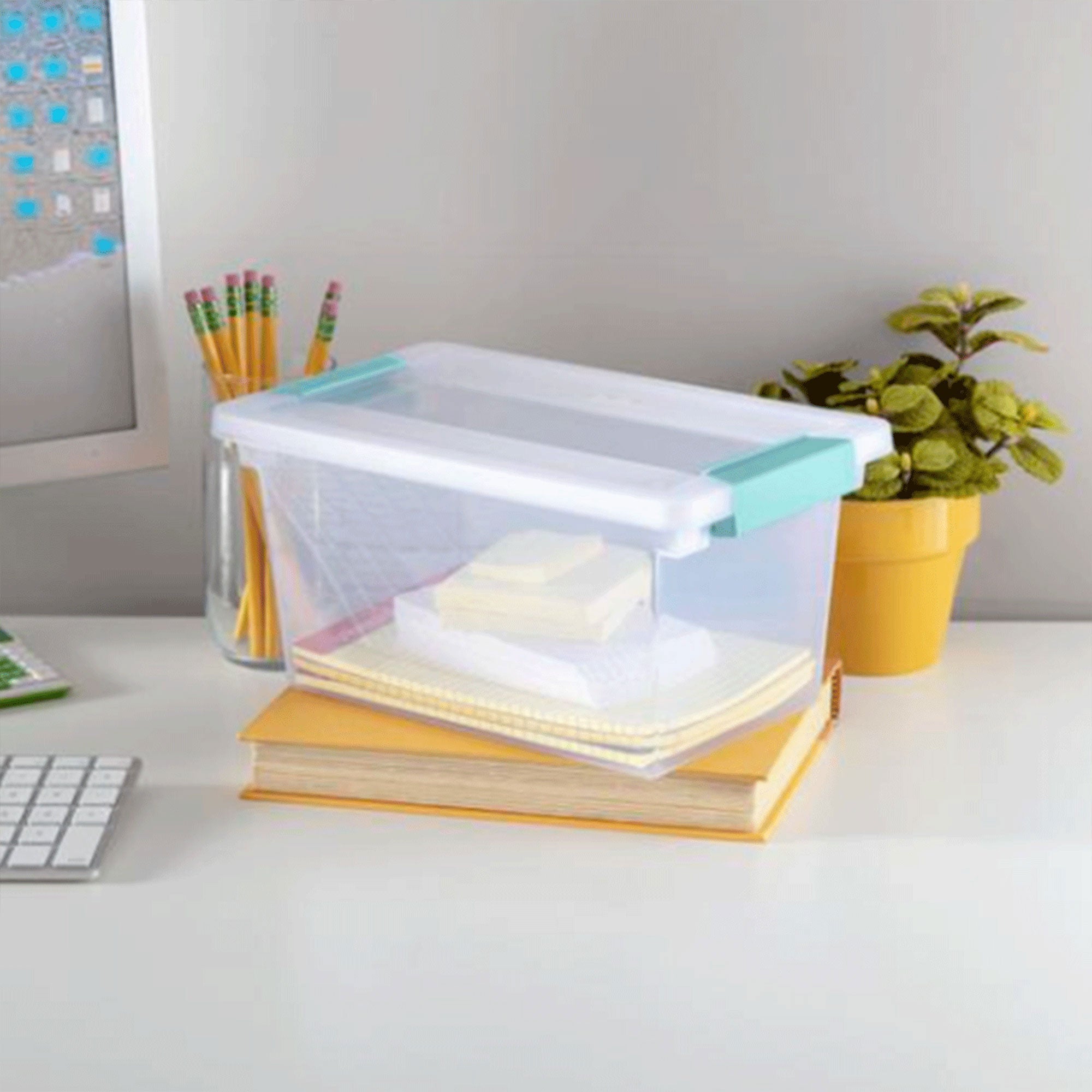 Sterilite Clear Medium Storage Tote, 12 Pack, and Large Storage Tote, 12 Pack - VMInnovations