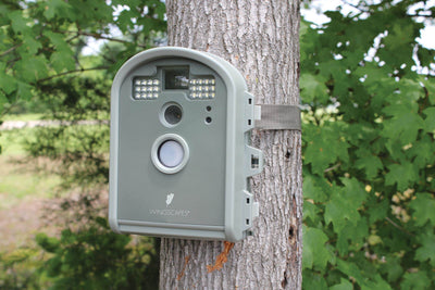 Wingscapes BirdCam Pro Motion-Activated Digital Backyard Wildlife Camera+SD Card