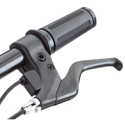 Razor E125 Motorized 24-Volt 10 MPH Rechargeable Electric Scooters, Blue & Black - VMInnovations