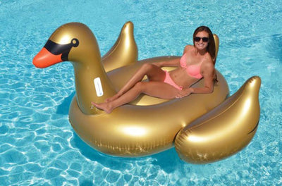 Swimline Giant Color Changing LED Flamingo Ride-On and Giant Golden Swan Ride-On