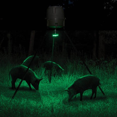 Moultrie 30 Gallon Hopper Hunting Tripod Deer Feeder w/Digital Timer & Hog Light