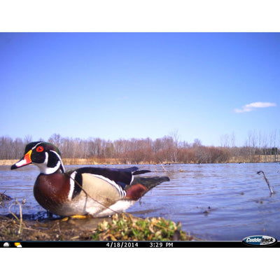 CUDDEBACK Model E2 Long Range IR Infrared Micro Game Hunting Camera (Open Box)