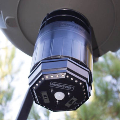 MOULTRIE Motion-Activated LED Feeder Hog Light w/ 30FT Radius (Open Box)