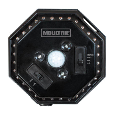 Moultrie Motion-Activated LED Feeder Hog Lights w/ 30FT Radius (4 Pack)