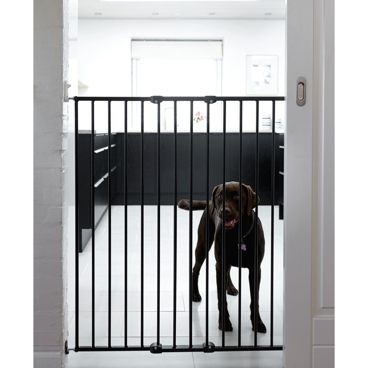 Scandinavian Pet Design Streamline Extra Tall 42" Pet Gate, White (2 Pack)