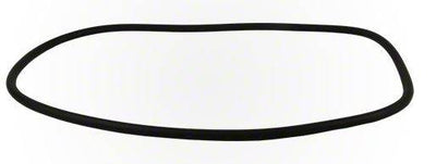 Pentair 39010200 Quad DE Clean & Clear Plus Pool Filter FNS Replacement O-Ring