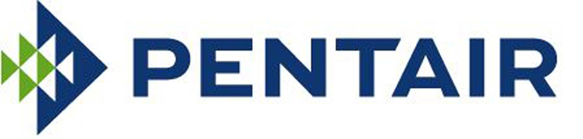 Pentair Complete Element Grid Assembly 60 Sq Ft Pool DE Filter FNS Plus(Damaged)