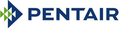Pentair Complete Element Grid Assembly 60 Sq Ft Pool DE Filter FNS Plus(Damaged)