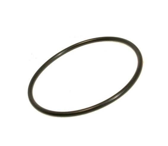 Pentair R172009 Cap O-Ring Replacement Rainbow 300/320 Pool Spa Chlorinator Lid