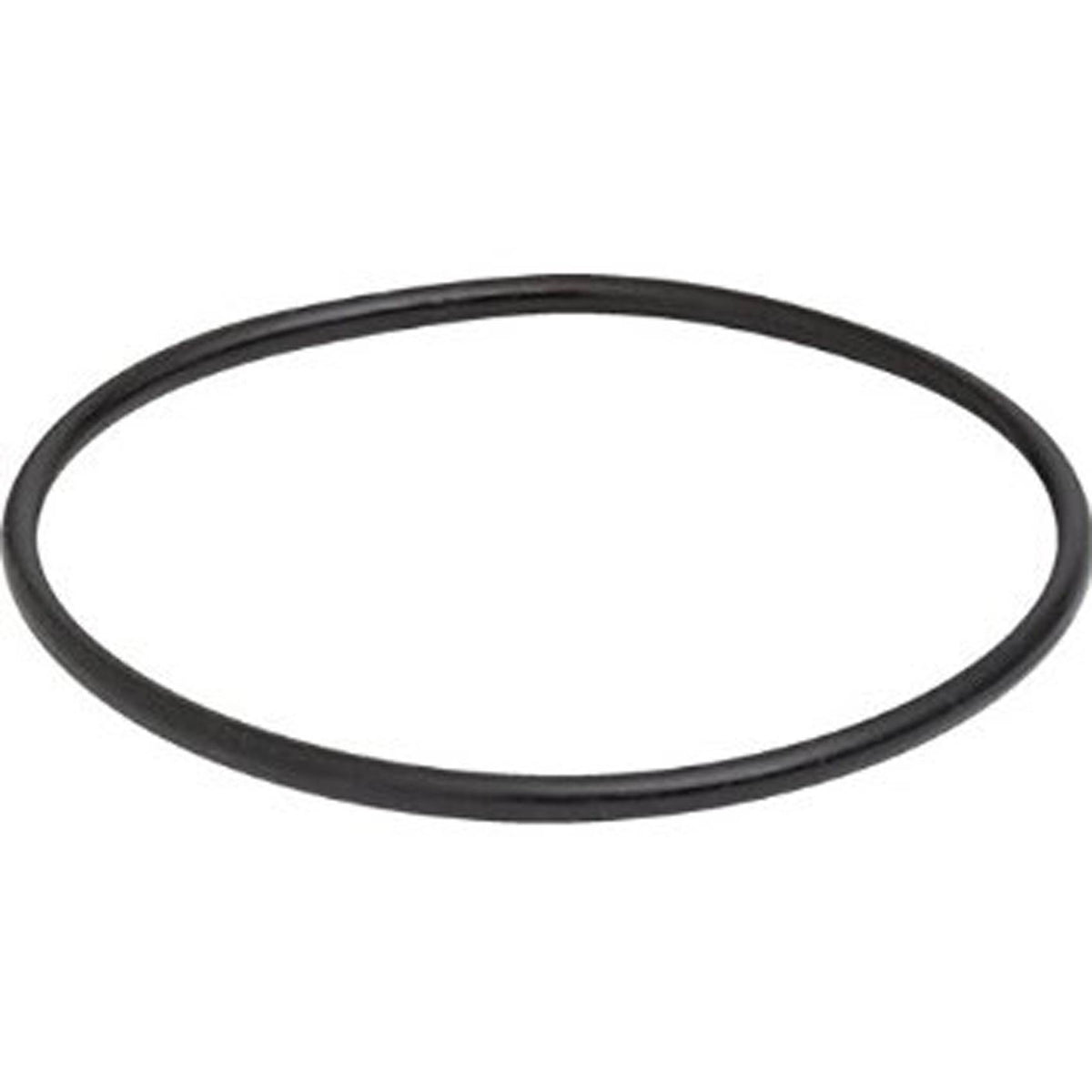 Pentair 350013 WhisperFlo Pinnacle Swimming Pool Spa Pump Replacement Lid O-Ring