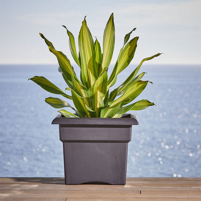Bloem 14" Veranda Square Polyethylene Patio Deck Box Planter, Black (Open Box)