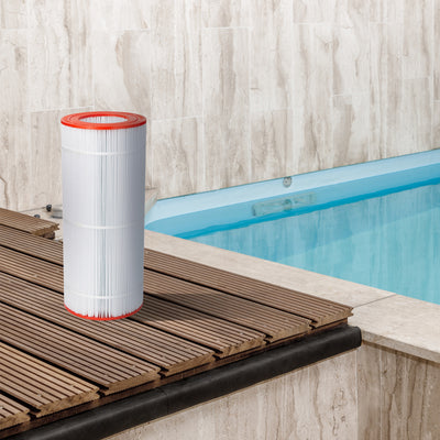 Unicel 100 Sq. Ft. Predator Pool and Spa Replacement Filter Cartridge (Used)