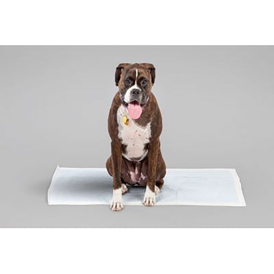 IRIS USA Neat 'n Dry Premium Extra Large Dog Potty Training Pads, 100 Count
