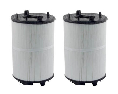 2) Sta-Rite 27002-0100S System 2 3 PLM100 Module Cartridge Filters 270020100S