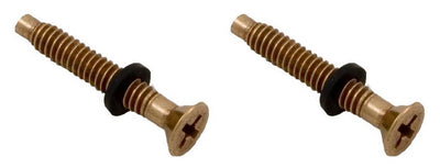 2) NEW Pentair 79104800 Pool Light Replacement Brass Pilot Screws w/Gum Washers