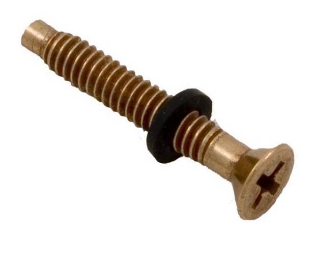 2) NEW Pentair 79104800 Pool Light Replacement Brass Pilot Screws w/Gum Washers