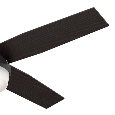 Hunter Fan Company 59251 Dempsey Ceiling Fan with LED Light and Remote, Black