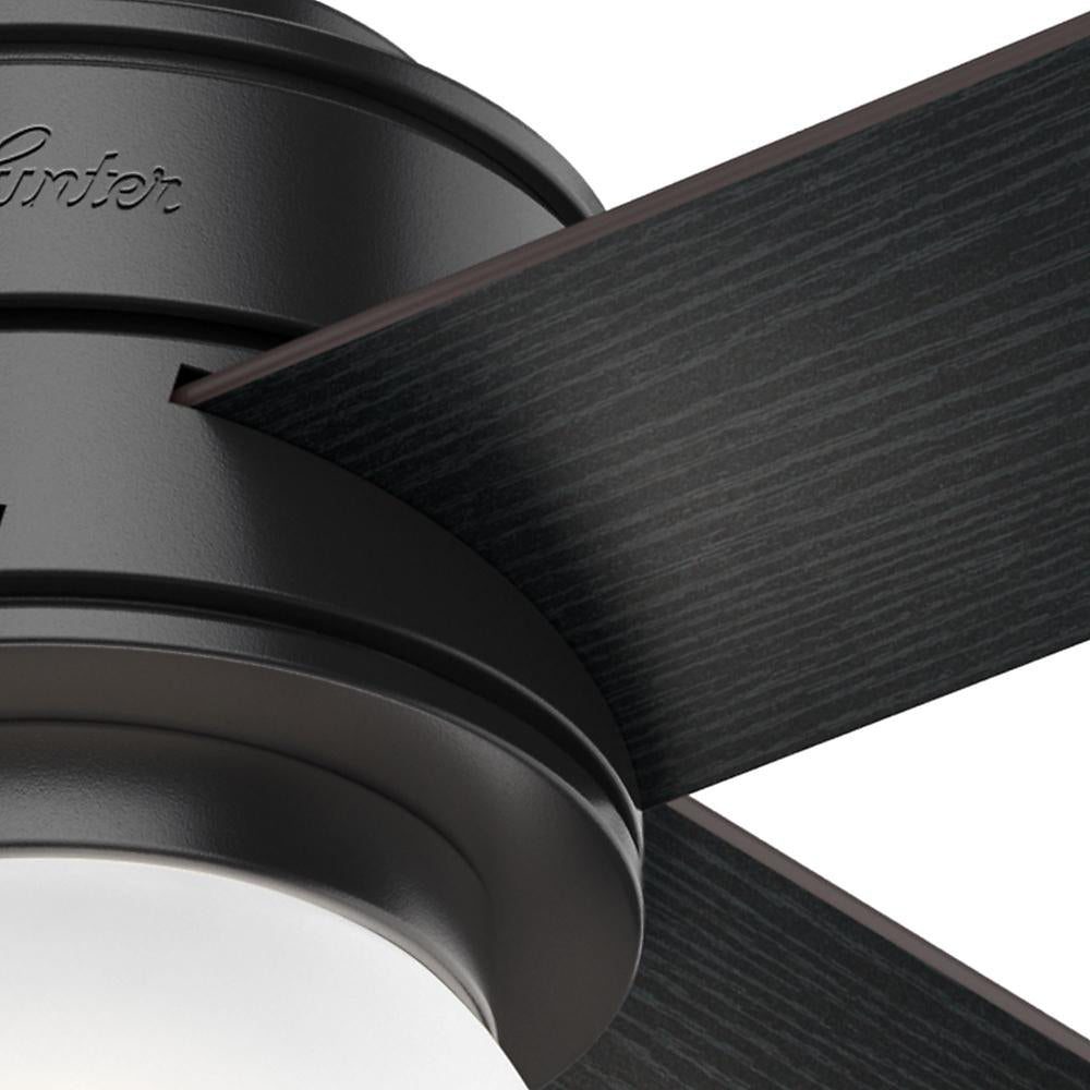 Hunter Fan Company Hepburn w/ LED Light 52-Inch Ceiling Fan, Matte Black Finish