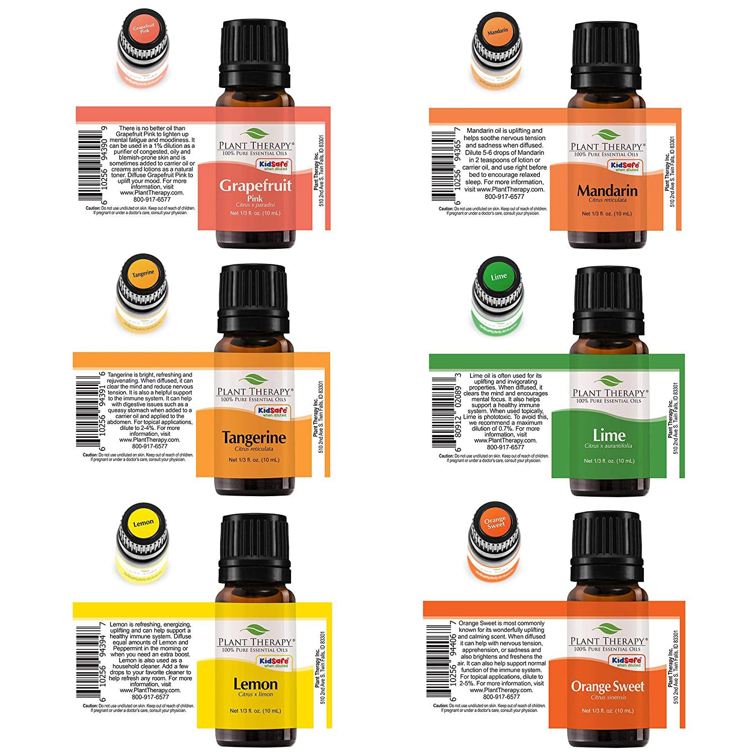 Plant Therapy Aroma Diffusible 10 mL Essential Oils, Set of 6, Fruits (3 Pack)