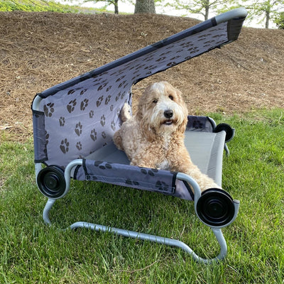 Disc-O-Bed 60001 Dog/Cat Cot Bed Foldable Portable Travel Camping - VMInnovations